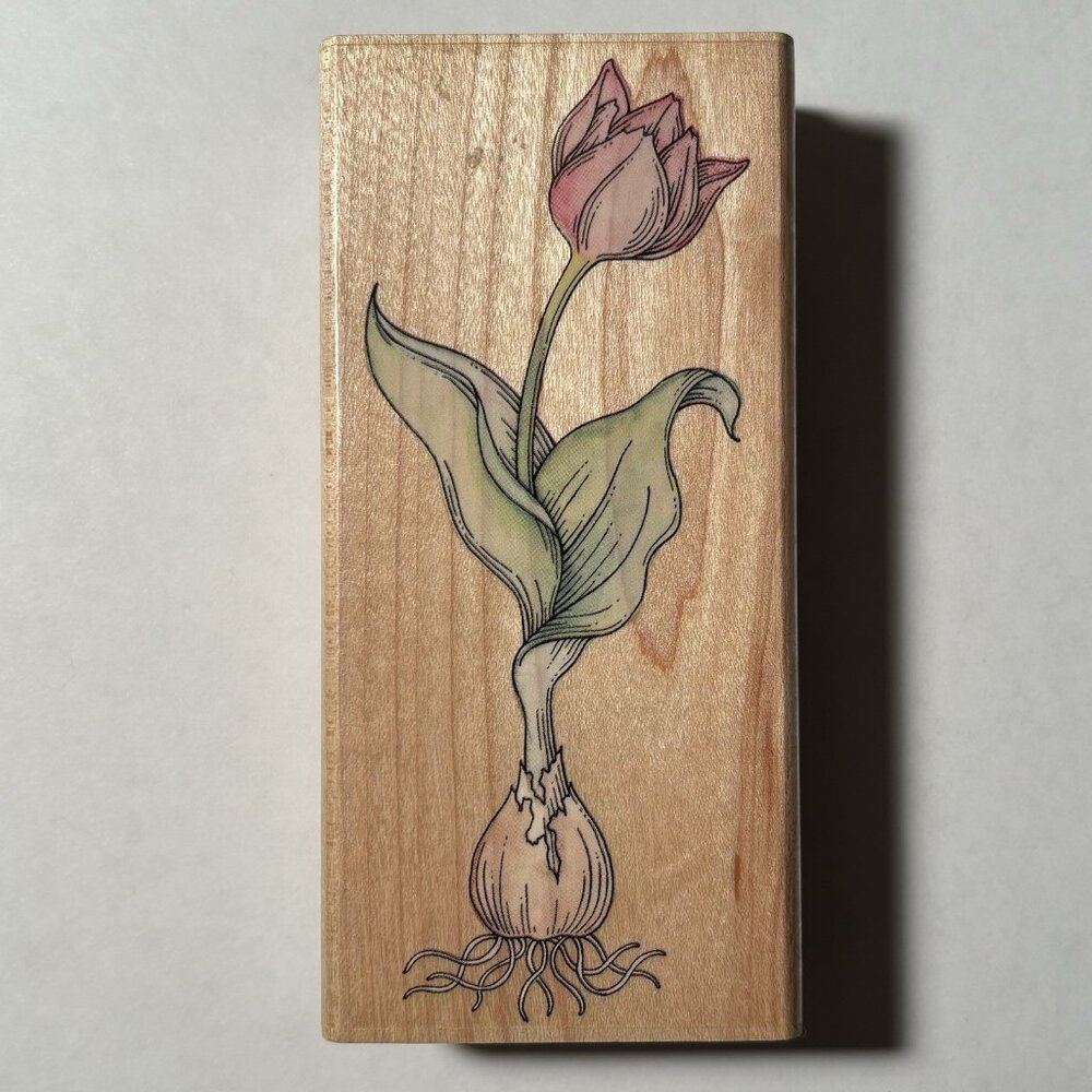 Rubber Stampede Wood Mounted Stamp Tulip Flower Floral Art Image Garden Bulb